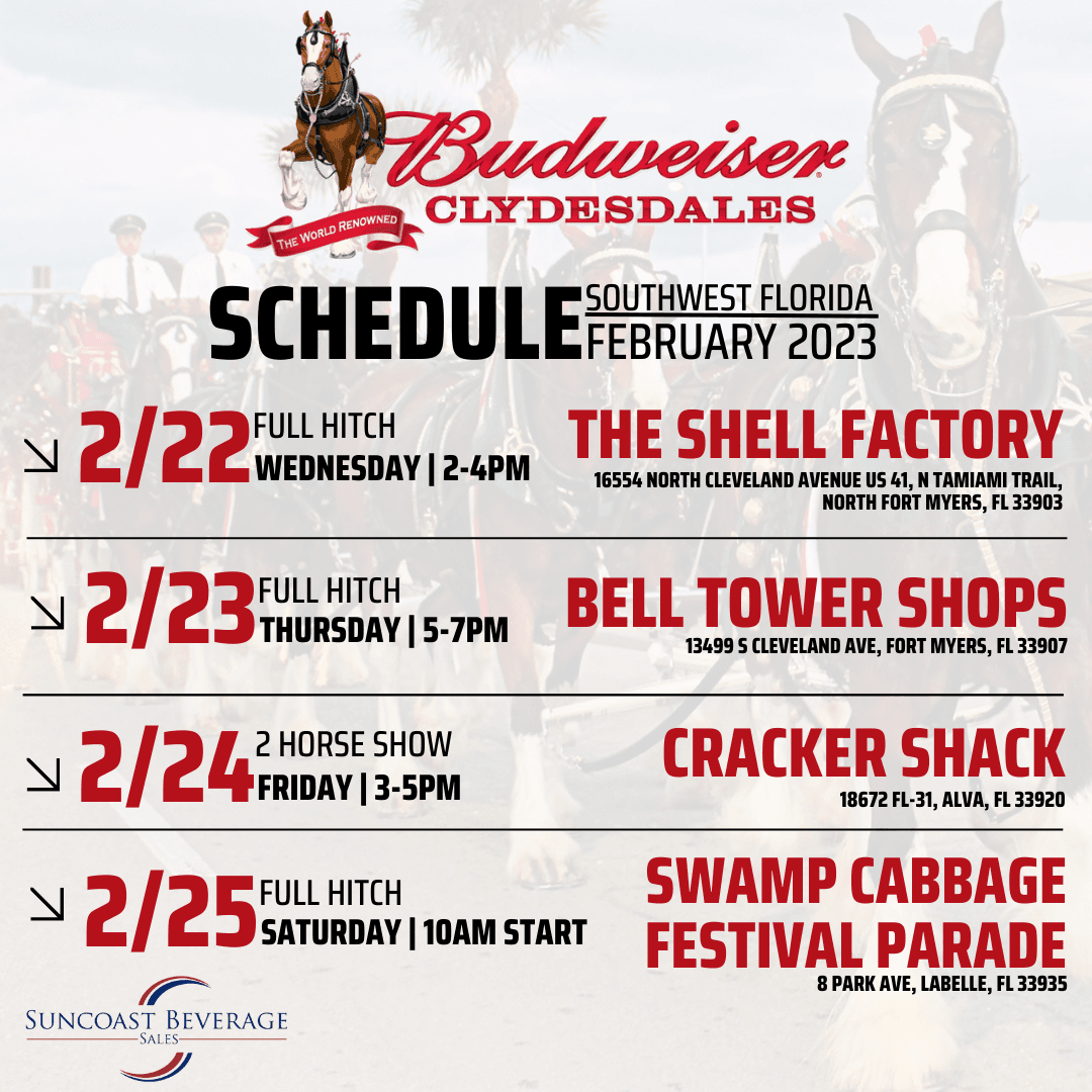 Clydesdales Visit to SWFL Suncoast Beverage Sales